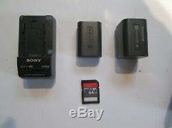 MINT SONY HDR-CX380 Digital HD Video Camera Recorder +2 Batteries +CASE +64GB