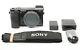 Sony Alpha A6000 24.3mp Mirrorless Digital Camera (black) 28170 Shutter Count