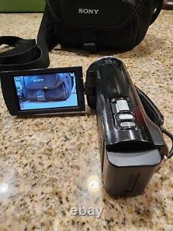 Sony HDR CX380 Digital HD Video Camera Recorder Touchscreen Battery, Case Tested