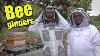 205 L'apiculture Pour Les Débutants Nos Premières Abeilles